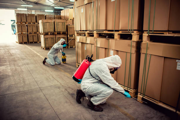 Best Local Pest Control Services  in Helena Valley West Central, MT