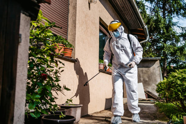 Best Exterminator Services  in Helena Valley West Central, MT