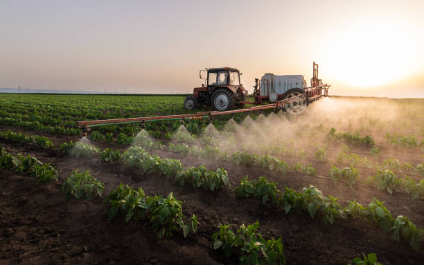 Best Best Pest Control Companies  in Helena Valley West Central, MT