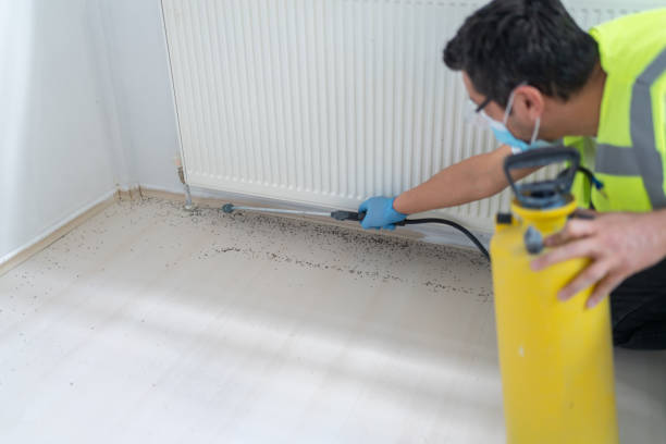 Best Cockroach Control Services  in Helena Valley West Central, MT