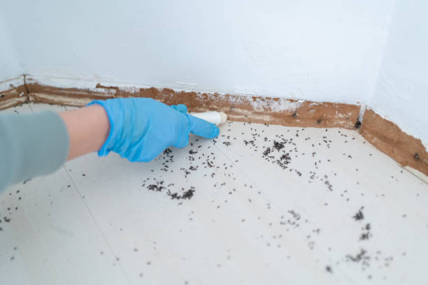 Best Bed Bug Extermination  in Helena Valley West Central, MT